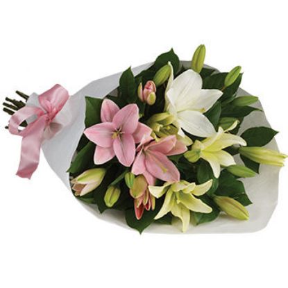 Lovely Lilies